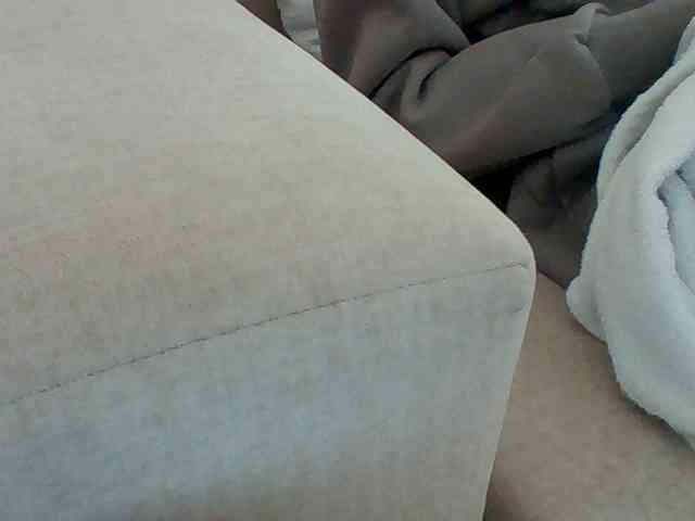 Dollie webcam