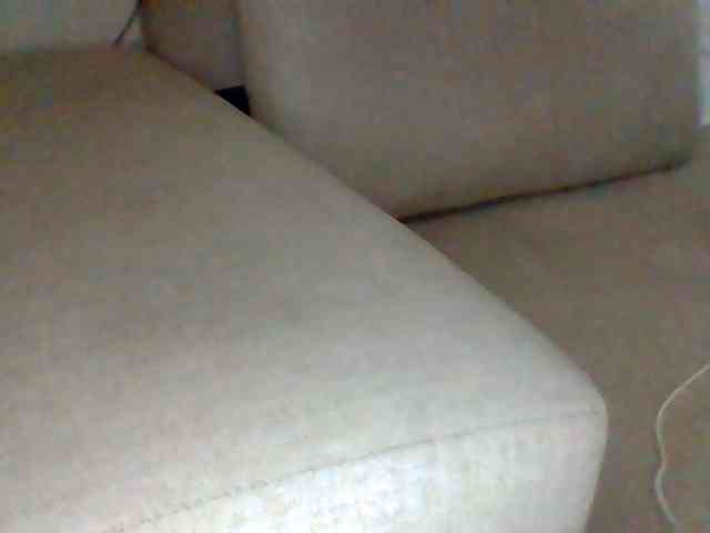 Dollie webcam