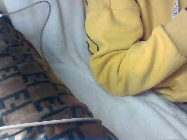 Dollie webcam