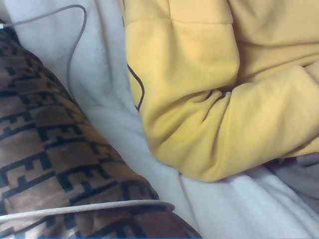 Dollie webcam