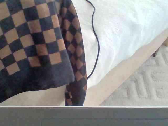 Dollie webcam