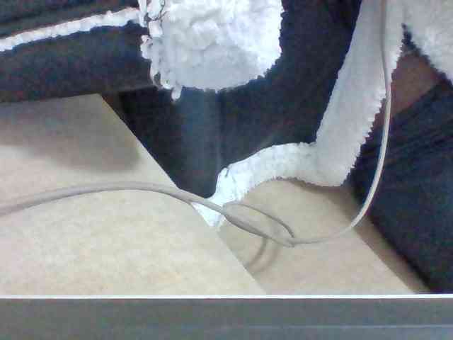 Dollie webcam