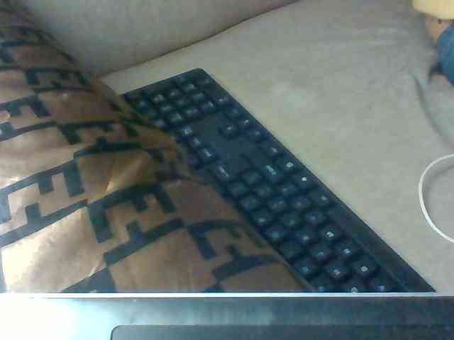 Dollie webcam
