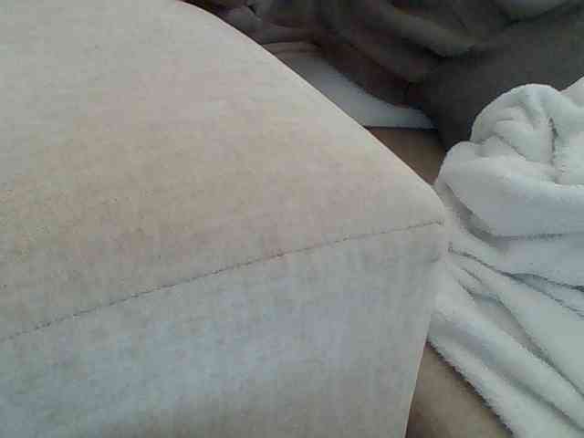 Dollie webcam