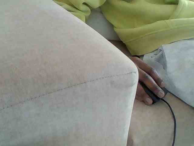Dollie webcam