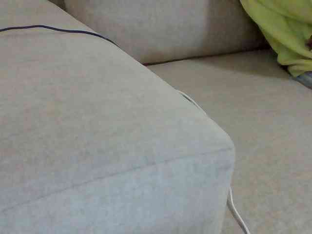 Dollie webcam