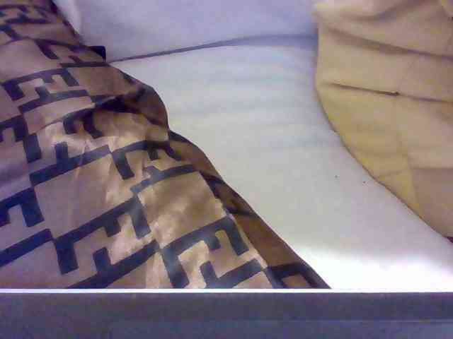 Dollie webcam