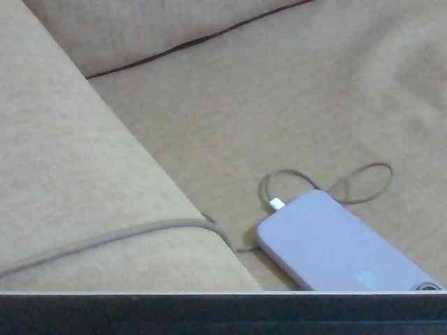 Dollie webcam