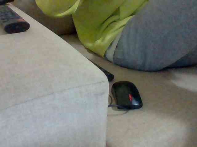 Dollie webcam