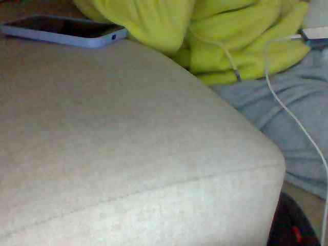 Dollie webcam