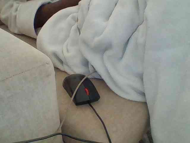 Dollie webcam