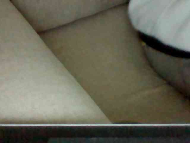 Dollie webcam
