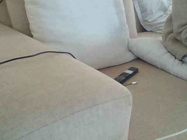 Dollie webcam
