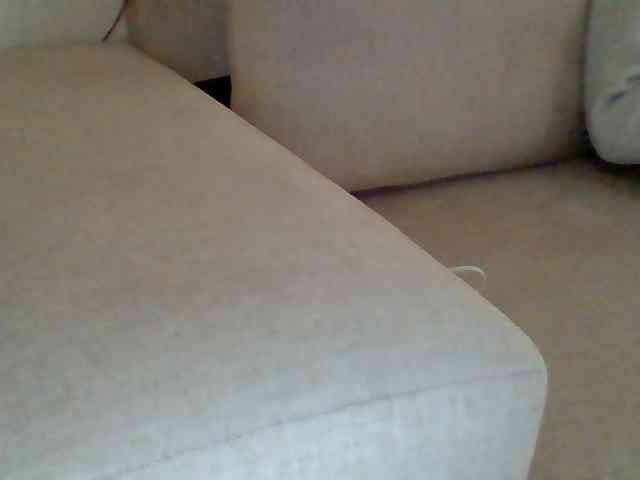 Dollie webcam