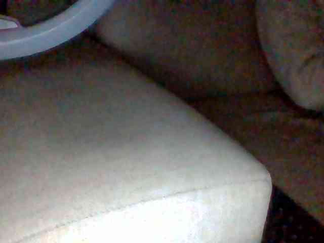 Dollie webcam