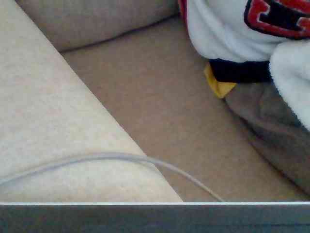 Dollie webcam