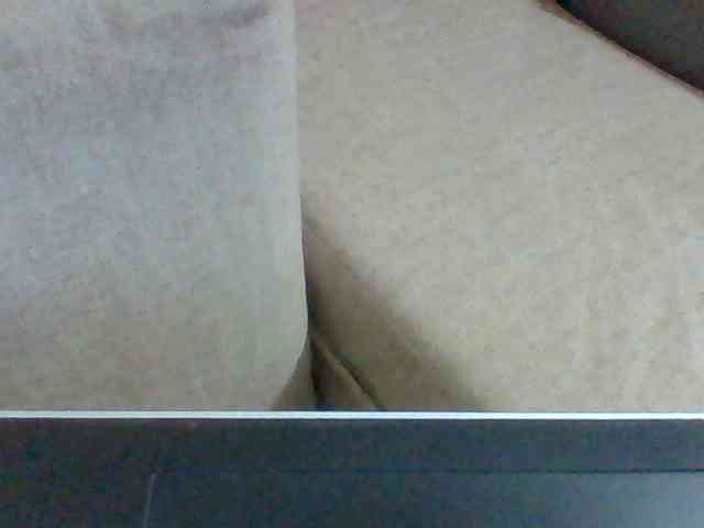 Dollie webcam