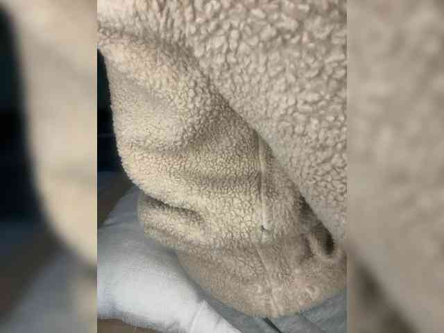 Dollie webcam