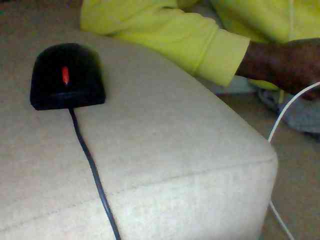 Dollie webcam