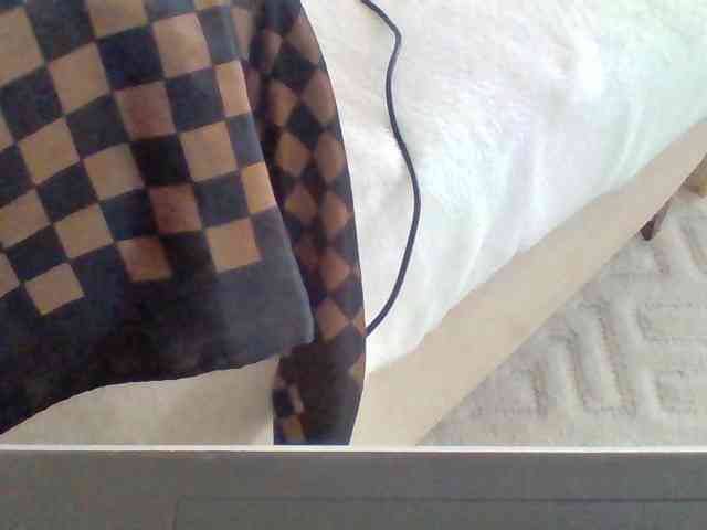 Dollie webcam