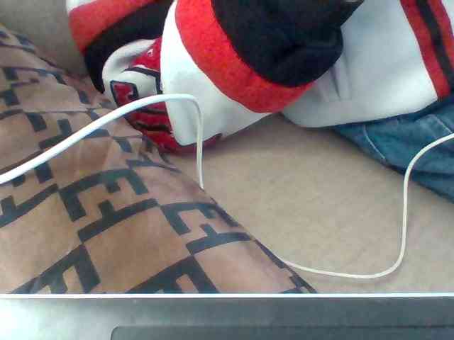 Dollie webcam