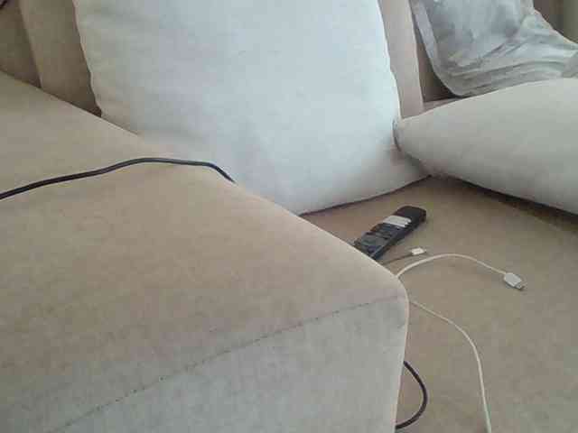 Dollie webcam
