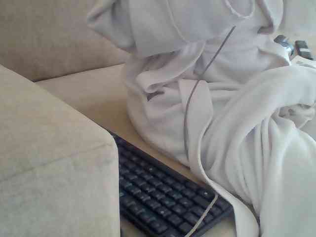 Dollie webcam