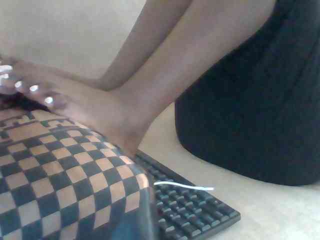 Dollie webcam