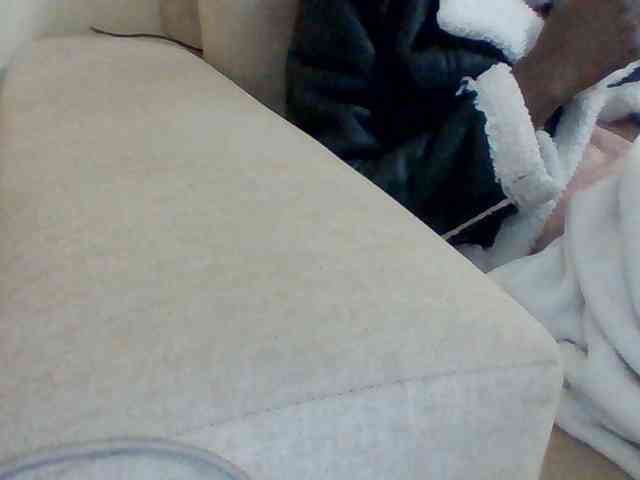 Dollie webcam