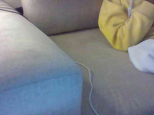 Dollie webcam