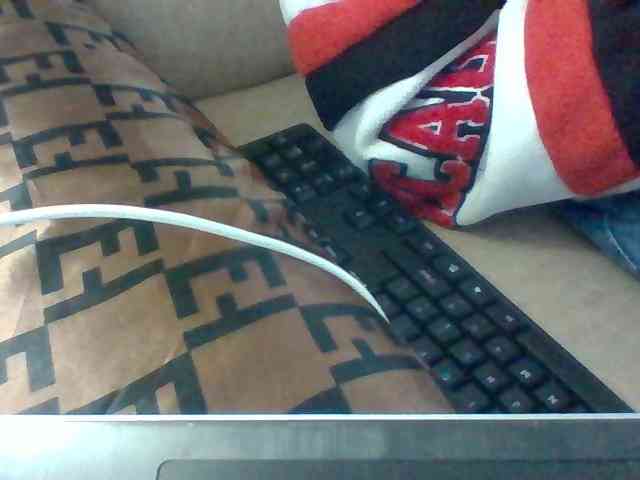 Dollie webcam