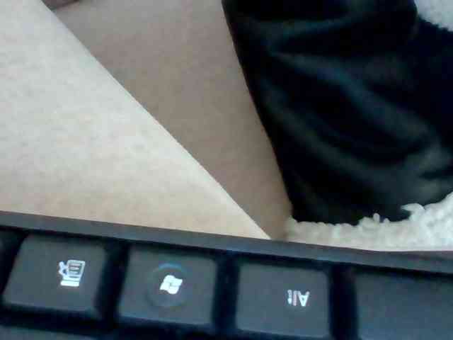 Dollie webcam