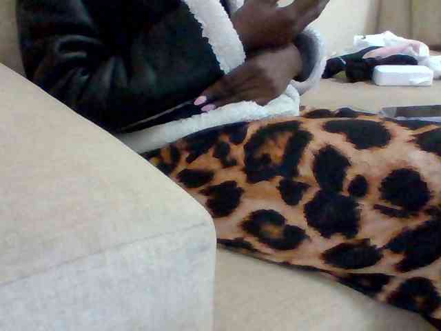 Dollie webcam