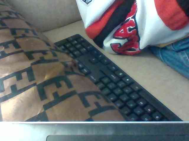 Dollie webcam