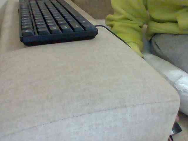 Dollie webcam