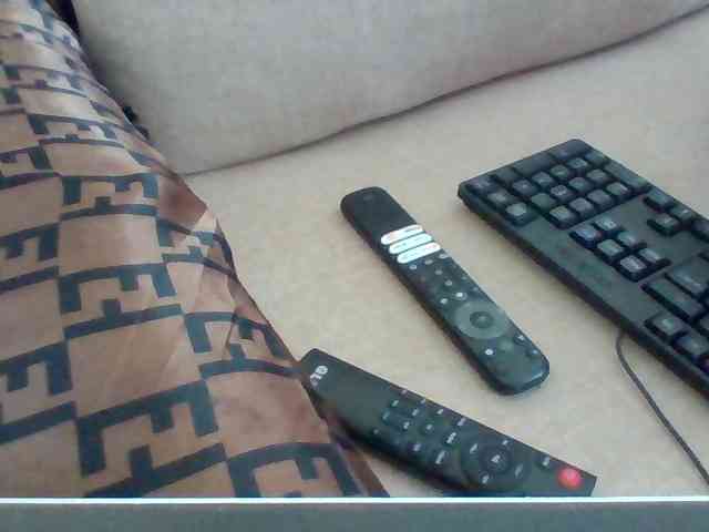 Dollie webcam