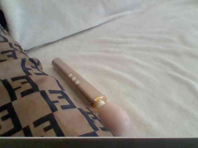 Dollie webcam