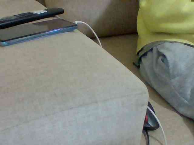 Dollie webcam