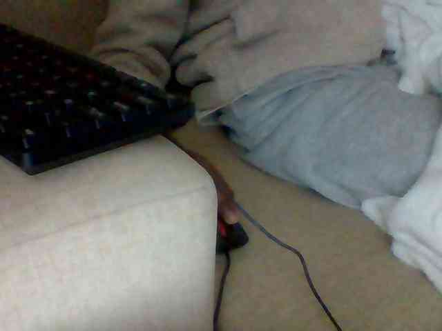 Dollie webcam