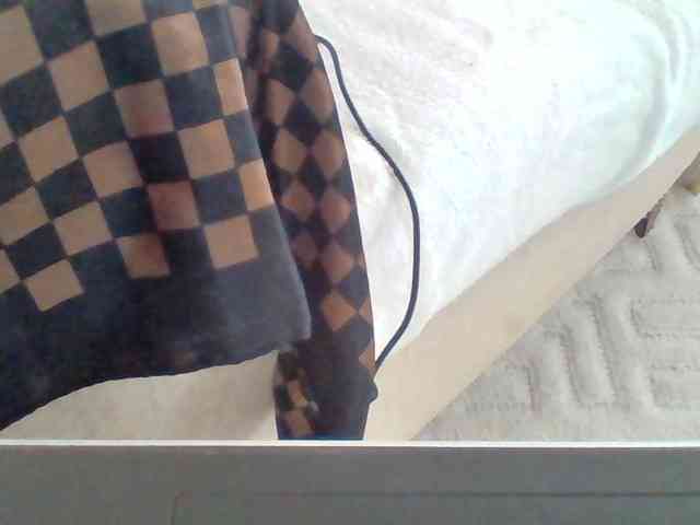 Dollie webcam