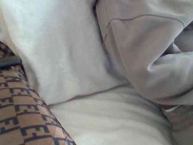 Dollie webcam