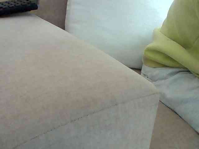 Dollie webcam