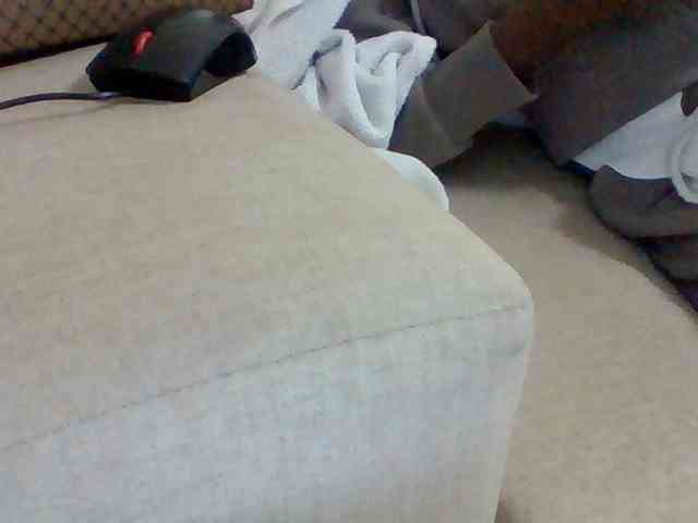 Dollie webcam