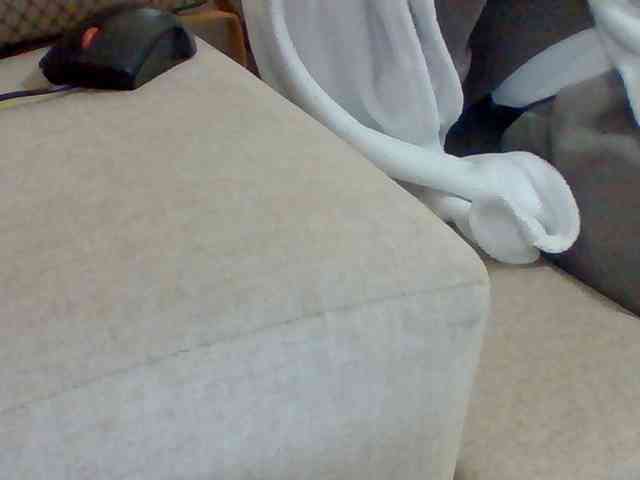 Dollie webcam
