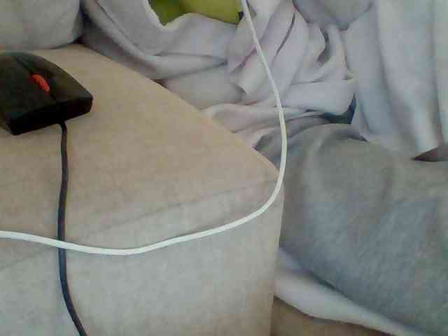 Dollie webcam