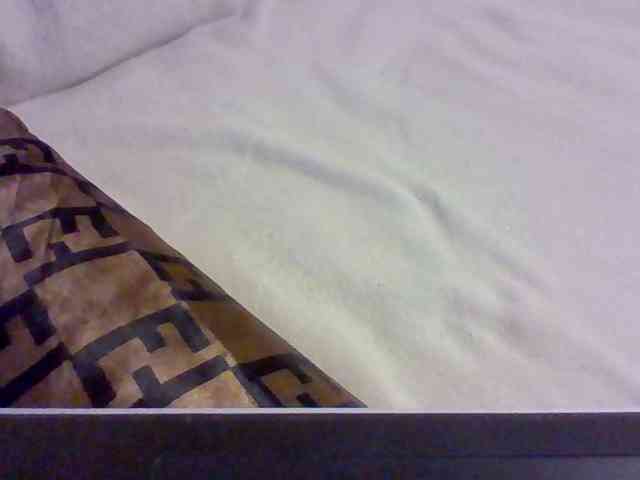 Dollie webcam