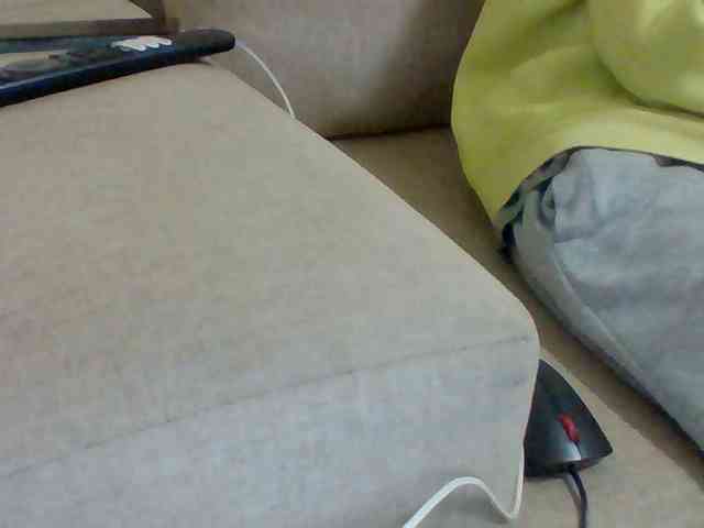 Dollie webcam