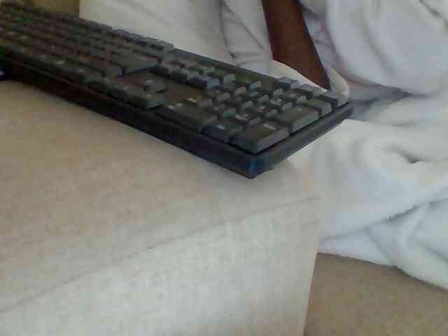 Dollie webcam