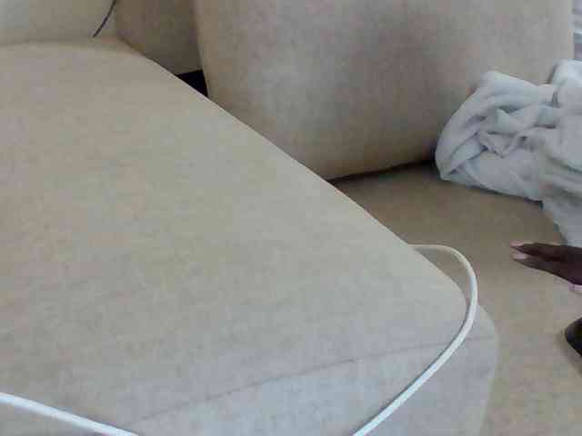 Dollie webcam