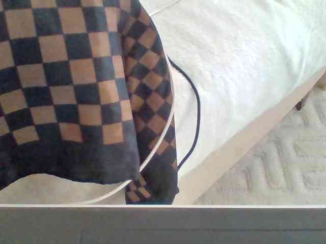 Dollie webcam